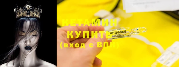 сатива Новодвинск