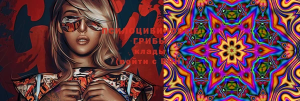 винт Алексеевка
