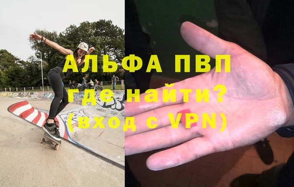 сатива Новодвинск