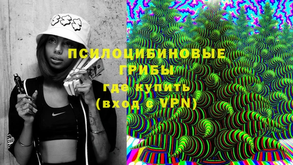 винт Алексеевка